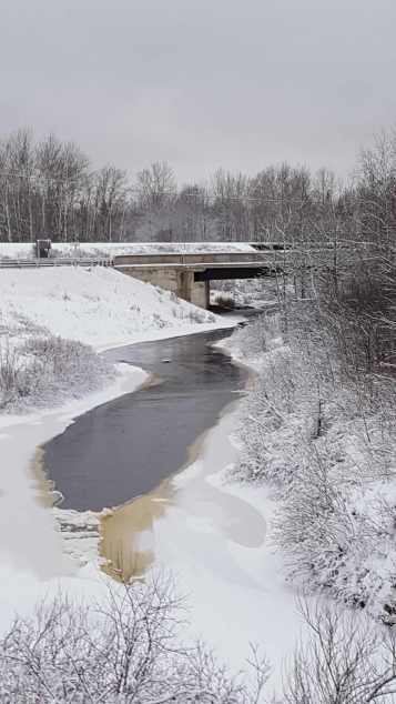 River at Thomas Road & Highway 11, Fauquier, Ontario